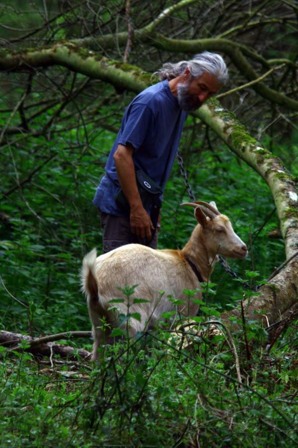 La Ferme Des Daims Βίλα Saint-Quay-Perros Εξωτερικό φωτογραφία